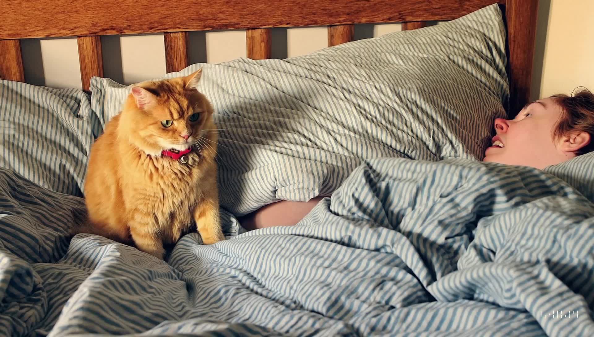 Woman and Cat on Bed