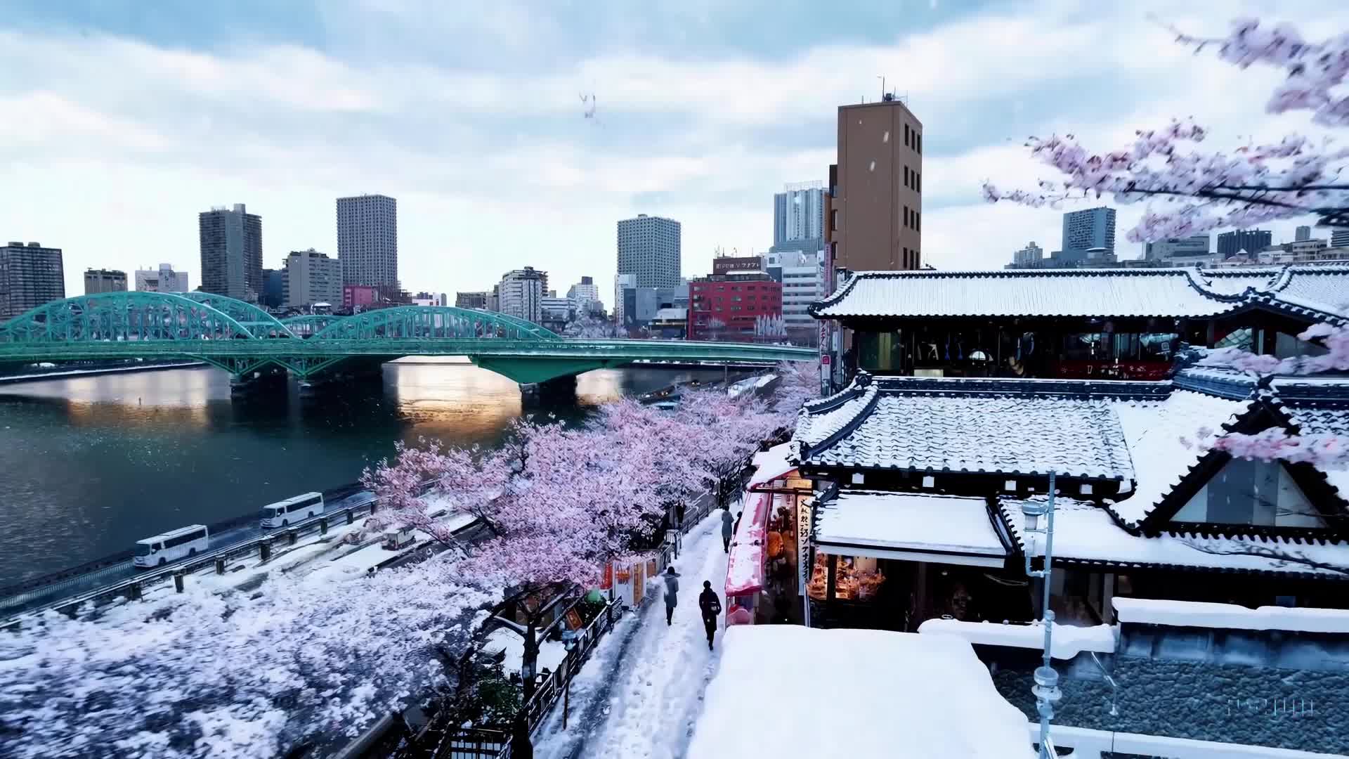 Tokyo in the snow with people (beautiful!)